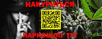 прущие грибы Можга