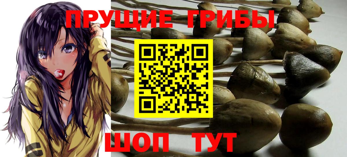 Псилоцибиновые грибы Magic Shrooms  хочу   Вход с VPN  Армавир  Псилоцибиновые грибы GOLDEN TEACHER 